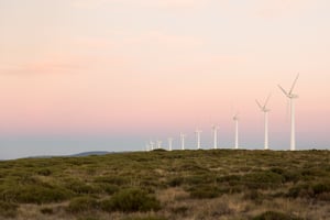 Windmills lined up on grass field surrounded by pink sky